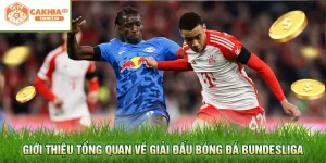Giới thiệu tổng quan về giải đấu bóng đá Bundesliga
