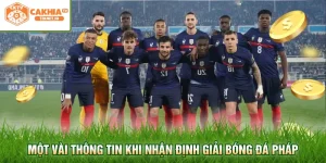 Một vài thông tin khi nhận định giải bóng đá Pháp
