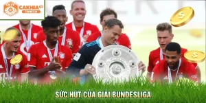 Sức hút của giải Bundesliga