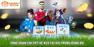 Tổng quan chi tiết về kèo tài xỉu trong bóng đá