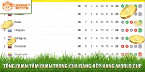Tổng quan tầm quan trọng của bảng xếp hạng World Cup