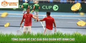 Tổng quan về các giải đấu quần vợt đỉnh cao