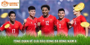Tổng quan về giải đấu bóng đá Đông Nam Á
