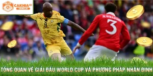 Tổng quan về giải đấu World Cup và phương pháp nhận định