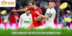 Tổng quan về soi kèo giải đấu Bundesliga